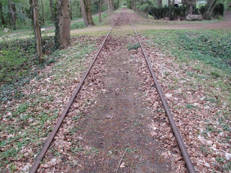 ZWNEGI3